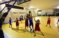 Basket 443051